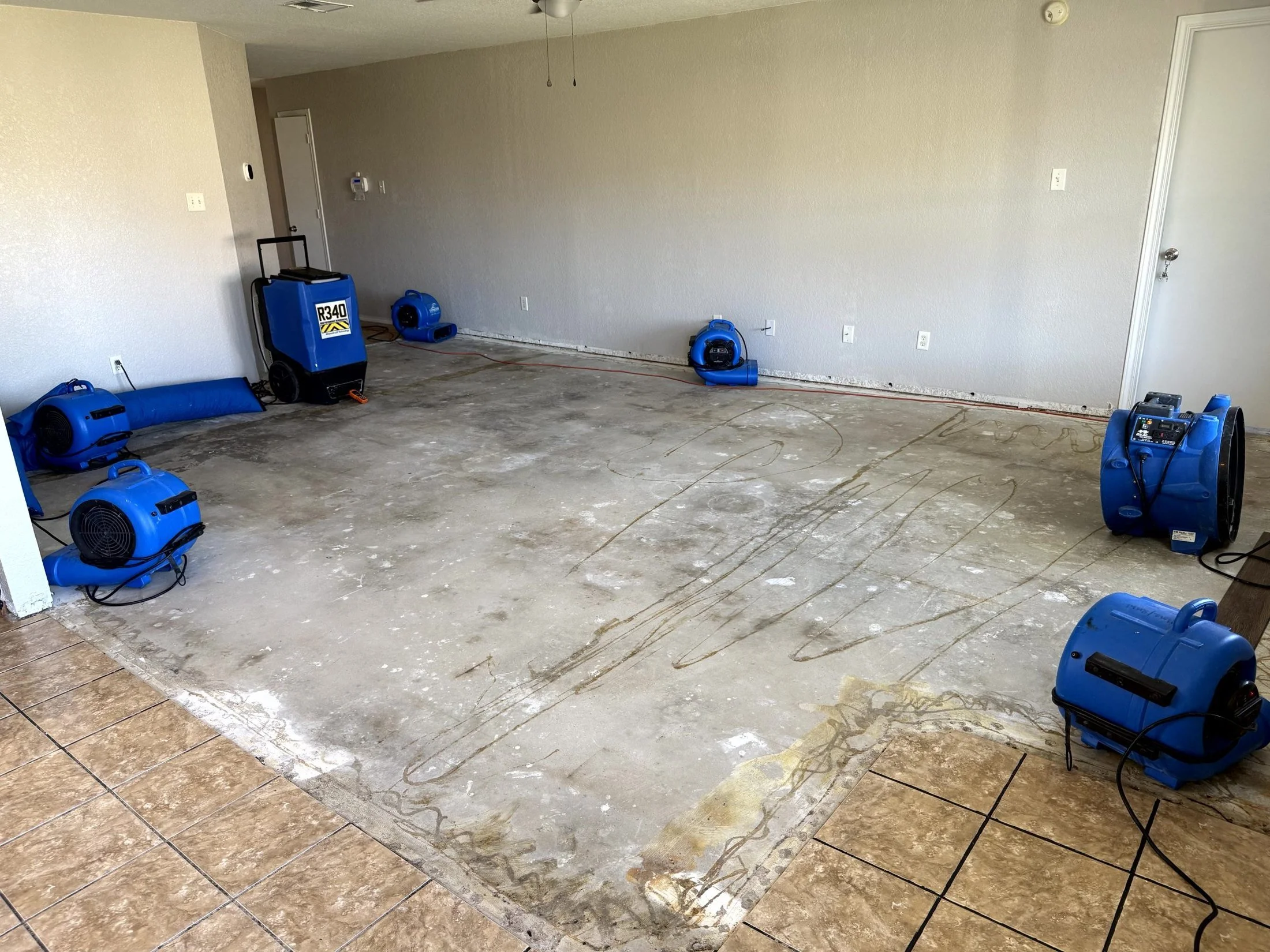 Read: Why does my floor look dry when the subfloor is still wet?