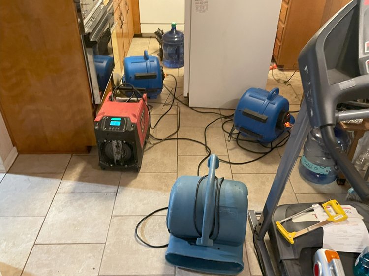 Rapid Dry water extraction work
