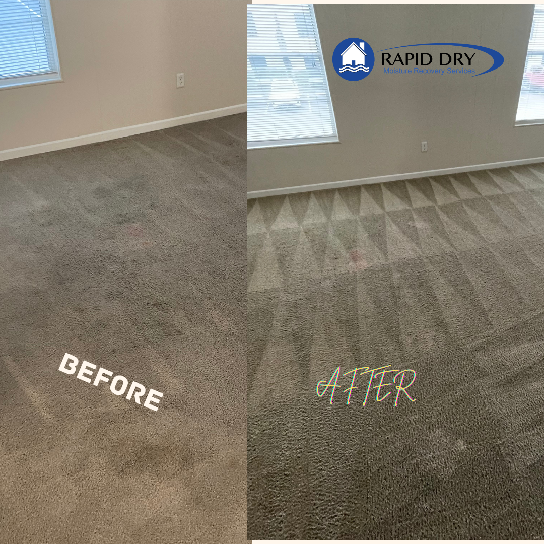 Carpet before and after professional cleaning by Rapid Dry.